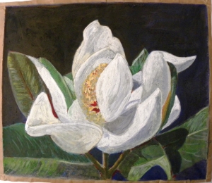 2013- fiore di magnolia